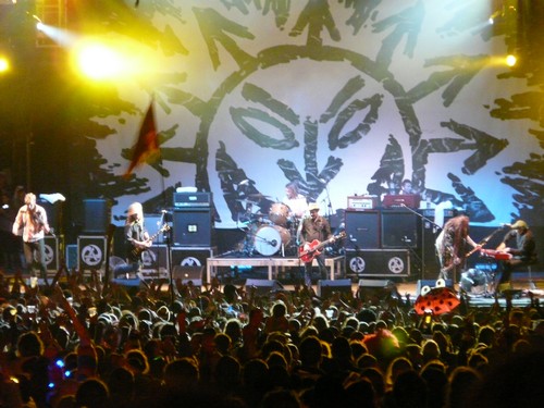 Car Park Chaos Follows A Rousing Night With The Levellers