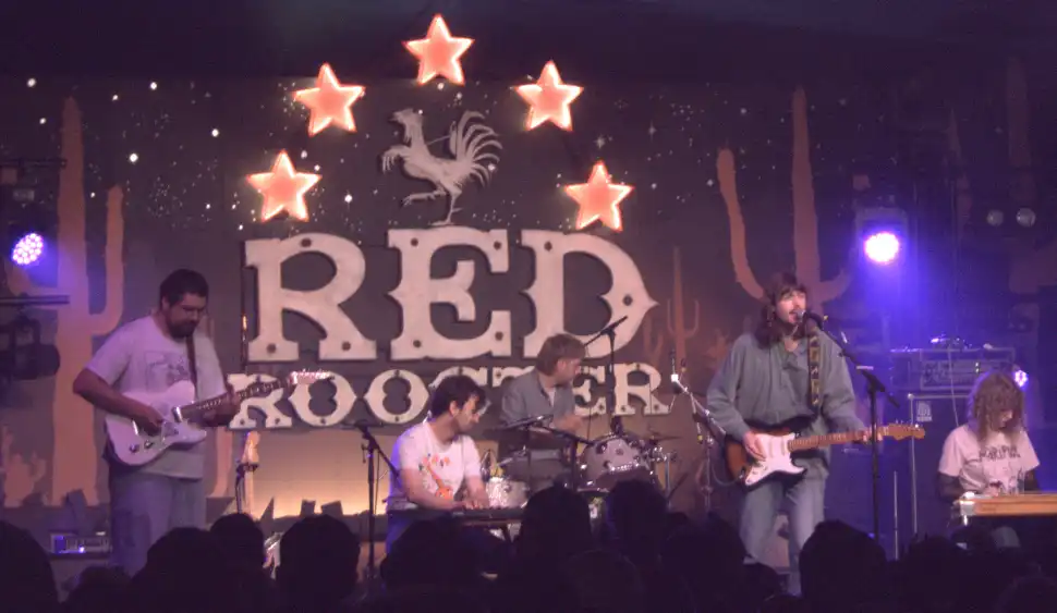 Brown Horse @ Red Rooster Festival 2024